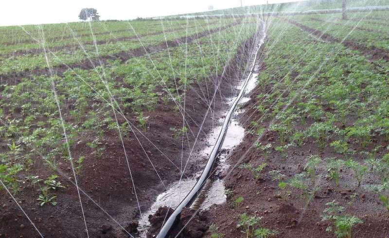 Rain Hose Irrigation