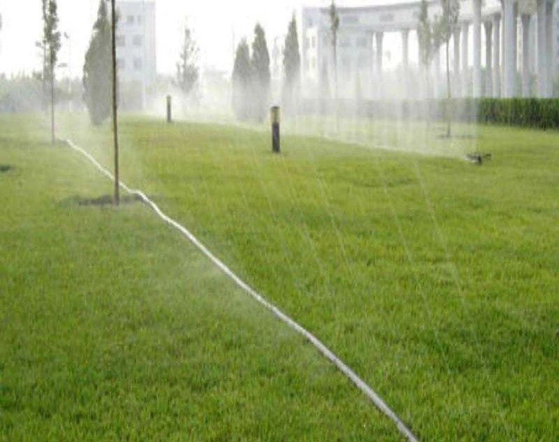 Lawn rain hose