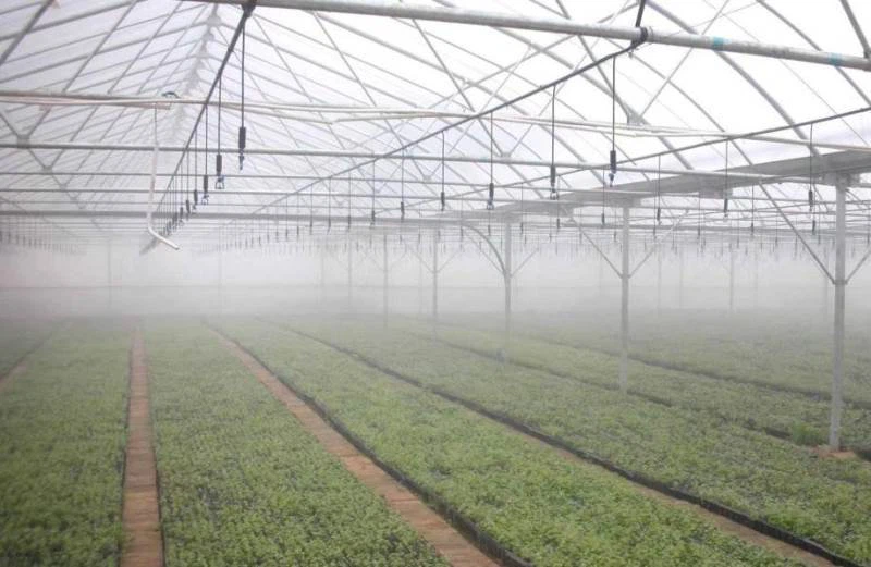 Overhead irrigation for nursery