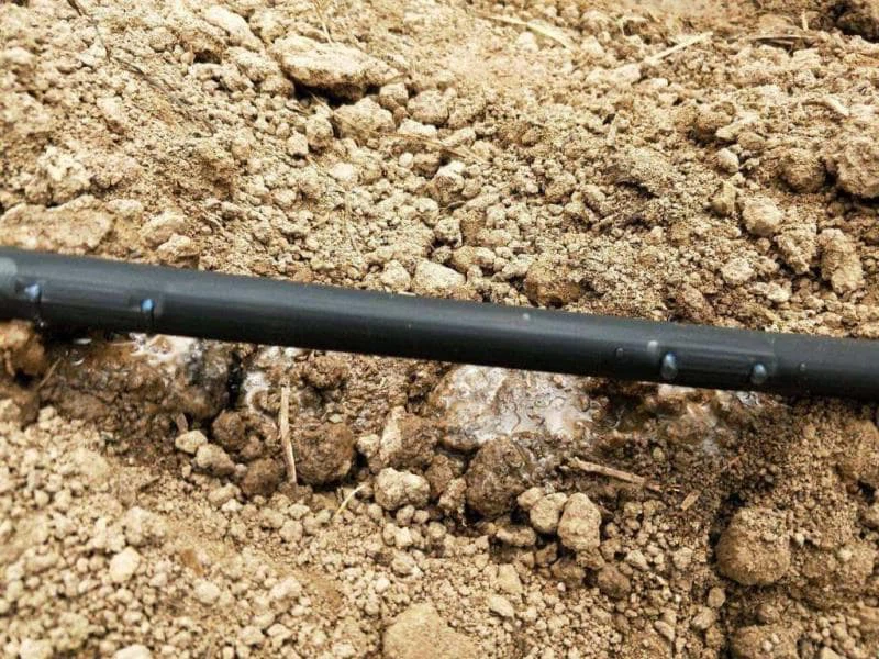 drip-irrigation-pipe-cleaning drip-irrigation-pipe-cleaning