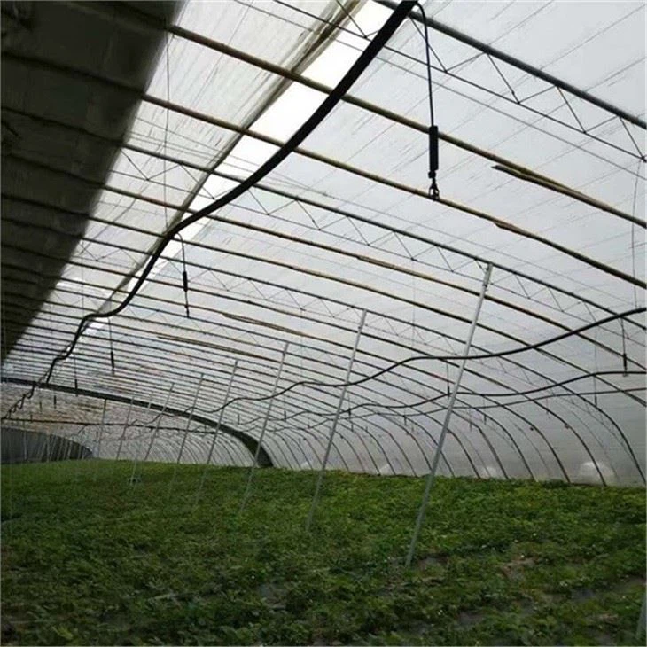 Greenhouse-Overhead-Sprinkler-Irrigation