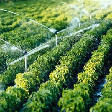 Large Farm Irrigation System