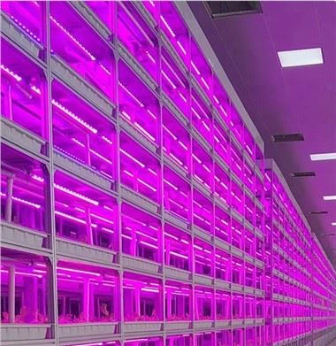 Growing Rack With Hydro Tray