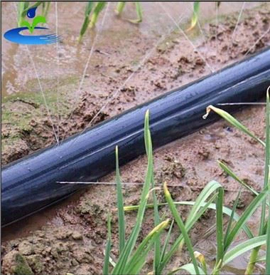 Sprinkler Hose With Holes