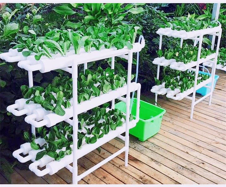 108 Plant Sites Hydroponic Grow Kit Water Culture Garden Plant System