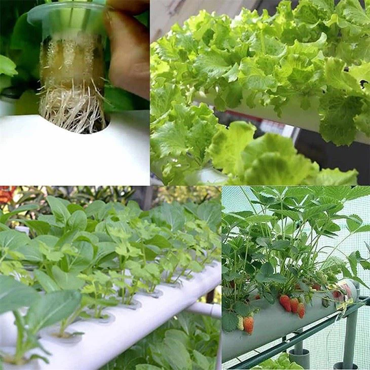 108 Plant Sites Hydroponic Grow Kit Water Culture Garden Plant System