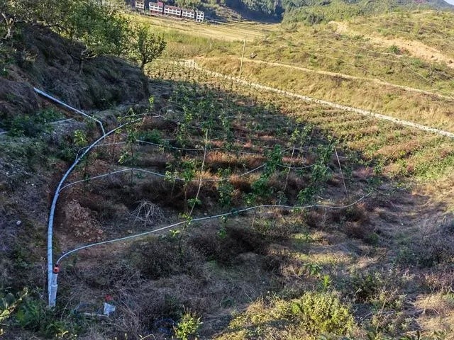 Drip Irrigation System Installation 2 Drip Irrigation System Installation 2