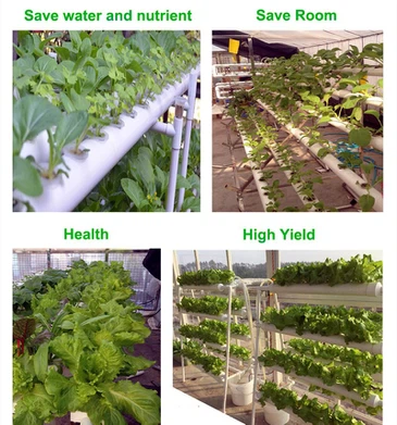 H4636e03d612941c1b856a275c6badd2fJ H4636e03d612941c1b856a275c6badd2fJ