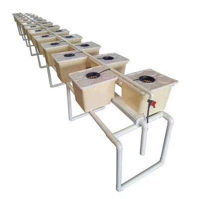 Dutch Bucket Plants Hydroponic Dutch Buckets Dutch Bucket Hydroponic System