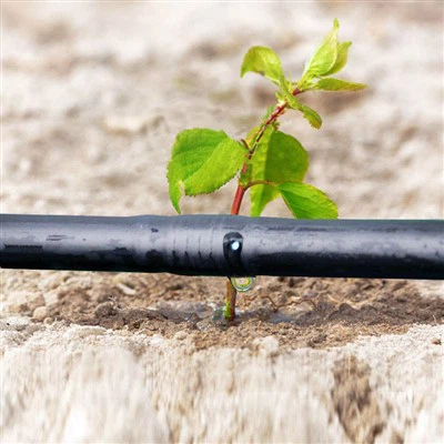 HDPE Drip Irrigation Pipe Line Kits For Papaya Irrigation System