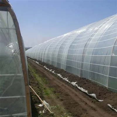 UV Resistant 200 Micron Greenhouse Plastic Film - Durable Agricultural Covering